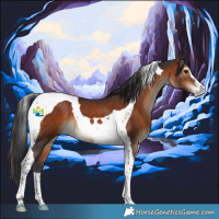 Horse Color:Brown Sabino Tobiano 
