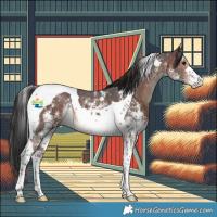 Horse Color:Brown Sabino Tobiano 