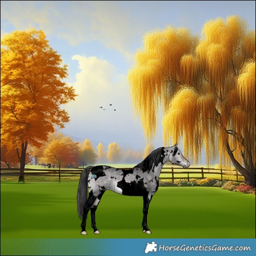 Horse Color:Void Platinum White Spotted Bay Dun Tobiano