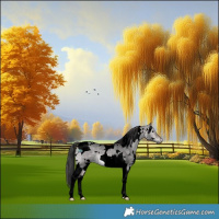 Horse Color:Void Platinum White Spotted Bay Dun Tobiano 