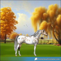 Horse Color:Gray Bay Dun Tobiano Near Leopard Rabicano 