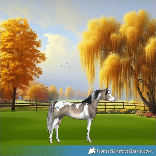 Horse Color:Brown Dun Splash Tobiano 