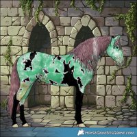 Horse Color:Watercolor White Spotted Liver Chestnut Ice Tobiano