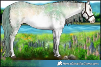 Horse Color:Plaid  White Spotted Liver Red Onyx Ice Sabino 