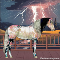 Horse Color:Watercolor Plaid  White Spotted Chocolate Palomino Ice Rabicano 