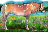 Horse Color:Plaid  White Spotted Chocolate Palomino Onyx Sabino 