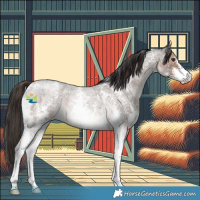 Horse Color:Liver Red Roan Sabino 