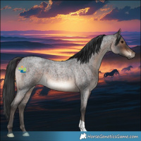 Horse Color:Brown Roan 