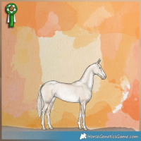 Horse Color:Chocolate Palomino Pearl Dun Brindle 