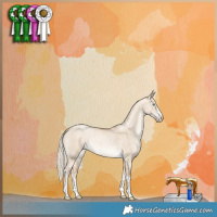 Horse Color:Chocolate Palomino Snowdrop Dun Brindle 