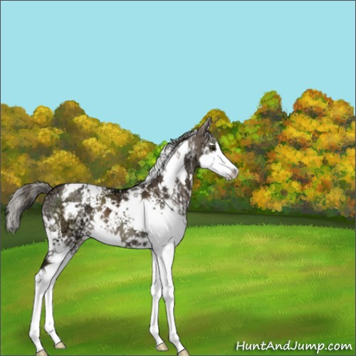 Horse Color:White Spotted Liver Red Dun Ice Mushroom Splash 