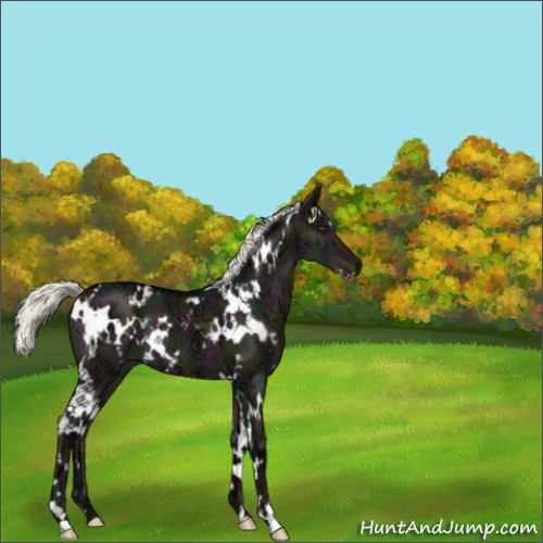 Horse Color:White Spotted Midnight Liver Red Dun Ice Mushroom 