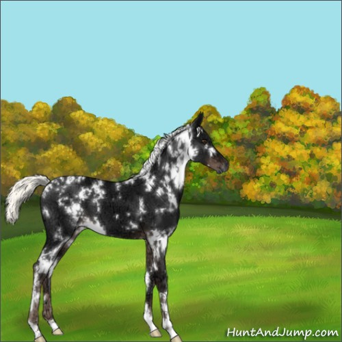 Horse Color:White Spotted Liver Chestnut Ice Mushroom 