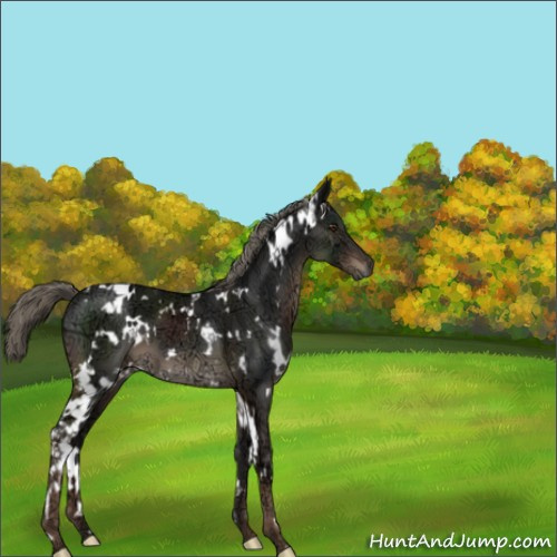 Horse Color:White Spotted Liver Chestnut Ice Mushroom 