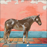 Horse Color:White Spotted Chocolate Palomino Tobiano 