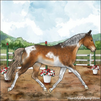 Horse Color:Chocolate Palomino Tobiano 