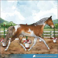 Horse Color:Chocolate Palomino Tobiano 