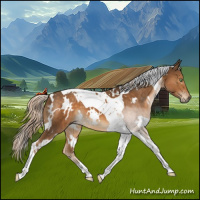 Horse Color:White Spotted Chocolate Palomino Tobiano 