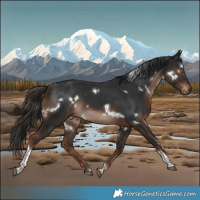 Horse Color:White Spotted Liver Chestnut Tobiano 