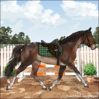 Horse Color:Liver Chestnut Tobiano 