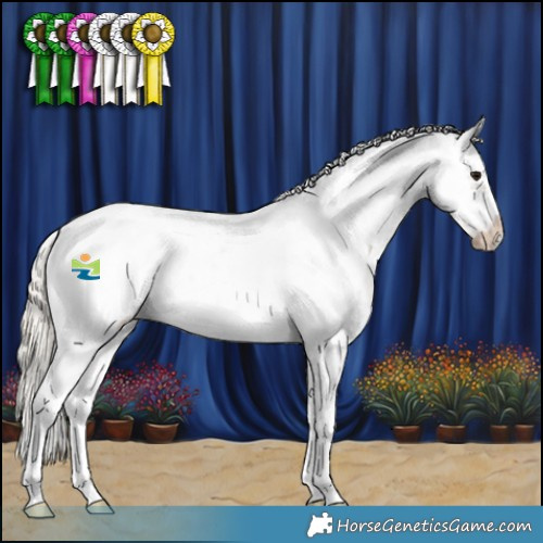 Horse Color:Silver Smoky Black Sabino Splash Tobiano Frame Appaloosa Rabicano 