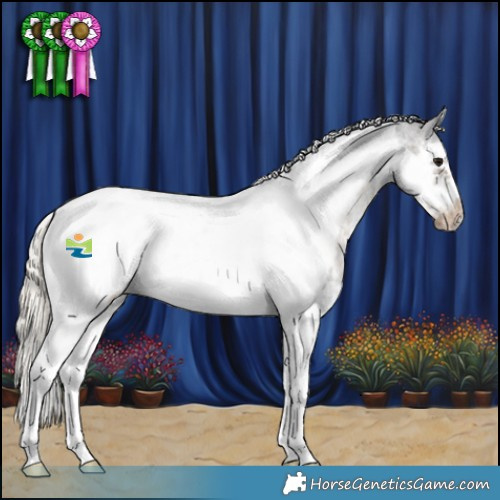 Horse Color:Silver Smoky Black Sabino Splash Tobiano Frame Appaloosa Rabicano 