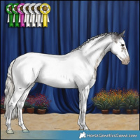 Horse Color:Silver Smoky Black Sabino Splash Tobiano Frame Blanket Rabicano 