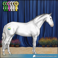 Horse Color:Silver Smoky Black Sabino Splash Tobiano Frame Appaloosa Rabicano 