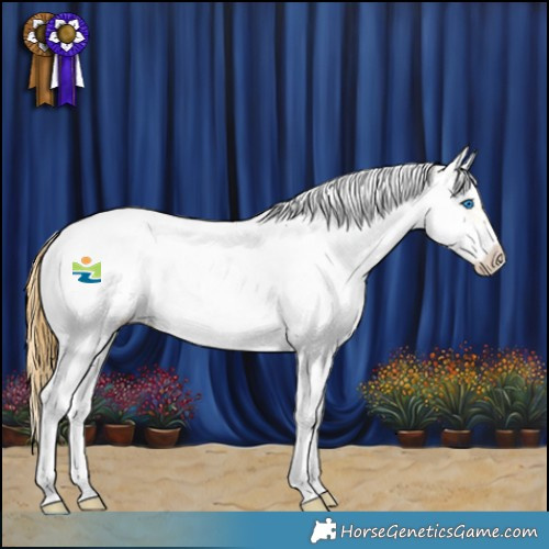 Horse Color:Buckskin Dun Splash Tobiano Frame Appaloosa Rabicano 