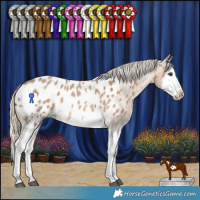 Horse Color:Chocolate Palomino Roan Splash Frame Appaloosa Rabicano
