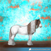 Horse Color:Liver Chestnut Tobiano Frame 