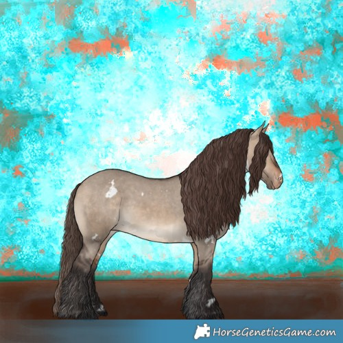 Horse Color:White Spotted Brown Dun Appaloosa 