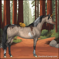 Horse Color:Brown Dun Tobiano 