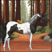 Horse Color:Gray Brown Dun Tobiano