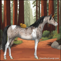 Horse Color:Brown Ice Dun Sabino Tobiano Brindle 