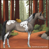 Horse Color:Brown Dun Tobiano 
