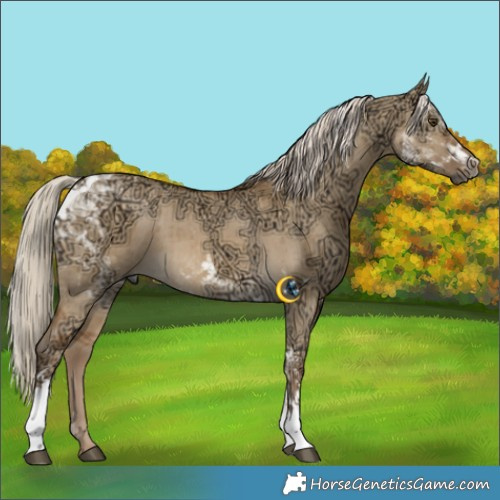 Horse Color:White Spotted Chocolate Palomino Ice Dun Tobiano Brindle 