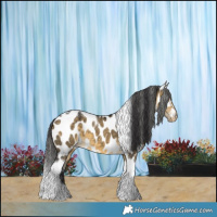 Horse Color:Buckskin Dun Tobiano Near Leopard 