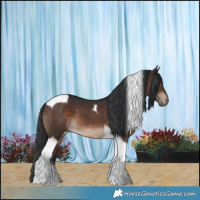 Horse Color:Brown Tobiano 