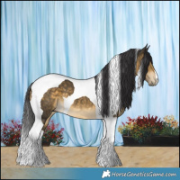Horse Color:Buckskin Tobiano