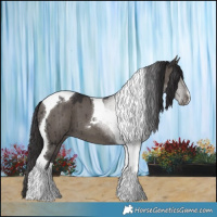Horse Color:Smoky Grullo Tobiano Brindle 