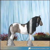 Horse Color:Grullo Tobiano