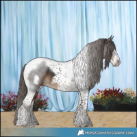 Horse Color:Liver Chestnut Tobiano Frame 