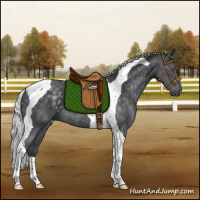 Horse Color:Silver Black Chinchilla Tobiano Rabicano