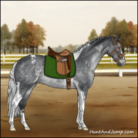 Horse Color:Silver Black Chinchilla Sabino Tobiano Rabicano