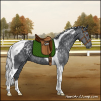 Horse Color:Silver Black Chinchilla Tobiano Rabicano 