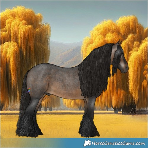 Horse Color:Gray Buckskin Roan 