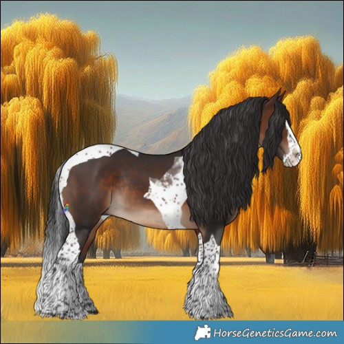 Horse Color:Brown Splash Tobiano Rabicano