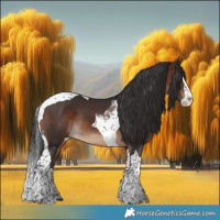 Horse Color:Brown Splash Tobiano Rabicano