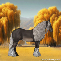 Horse Color:Gray Silver Black Tobiano Rabicano and Gray Silver Black Tobiano Rabicano